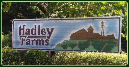 Hadley Farms